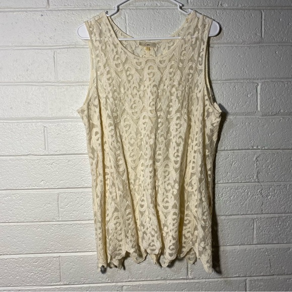 Capri Sioni Embroidered Mesh Tank L with Slit Halfway Up the Back Beige Large - Picture 4 of 13